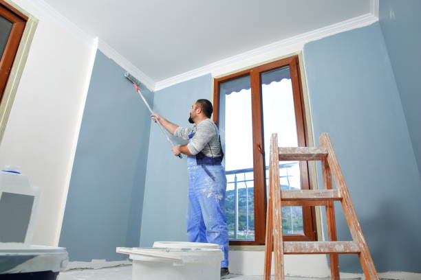Best Mold Removal for HVAC Installations  in Bainbridge, OH