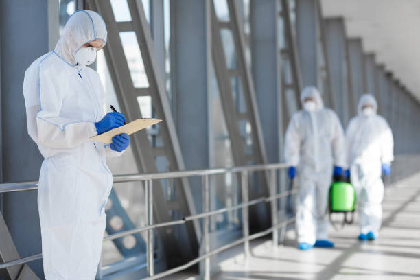 Best Mold Damage Restoration  in Bainbridge, OH