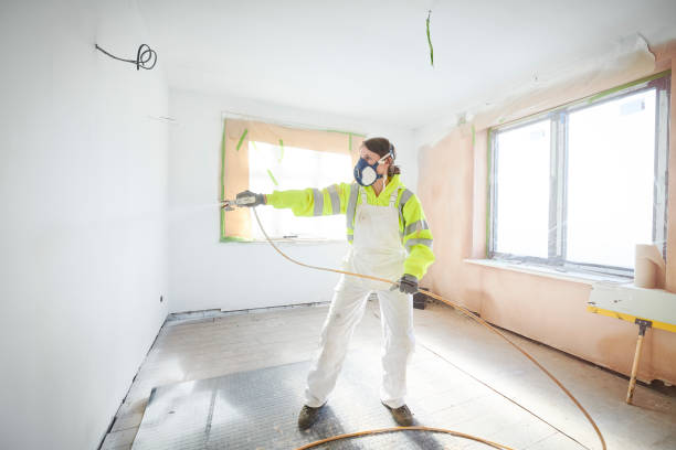 Best Black Mold Removal  in Bainbridge, OH